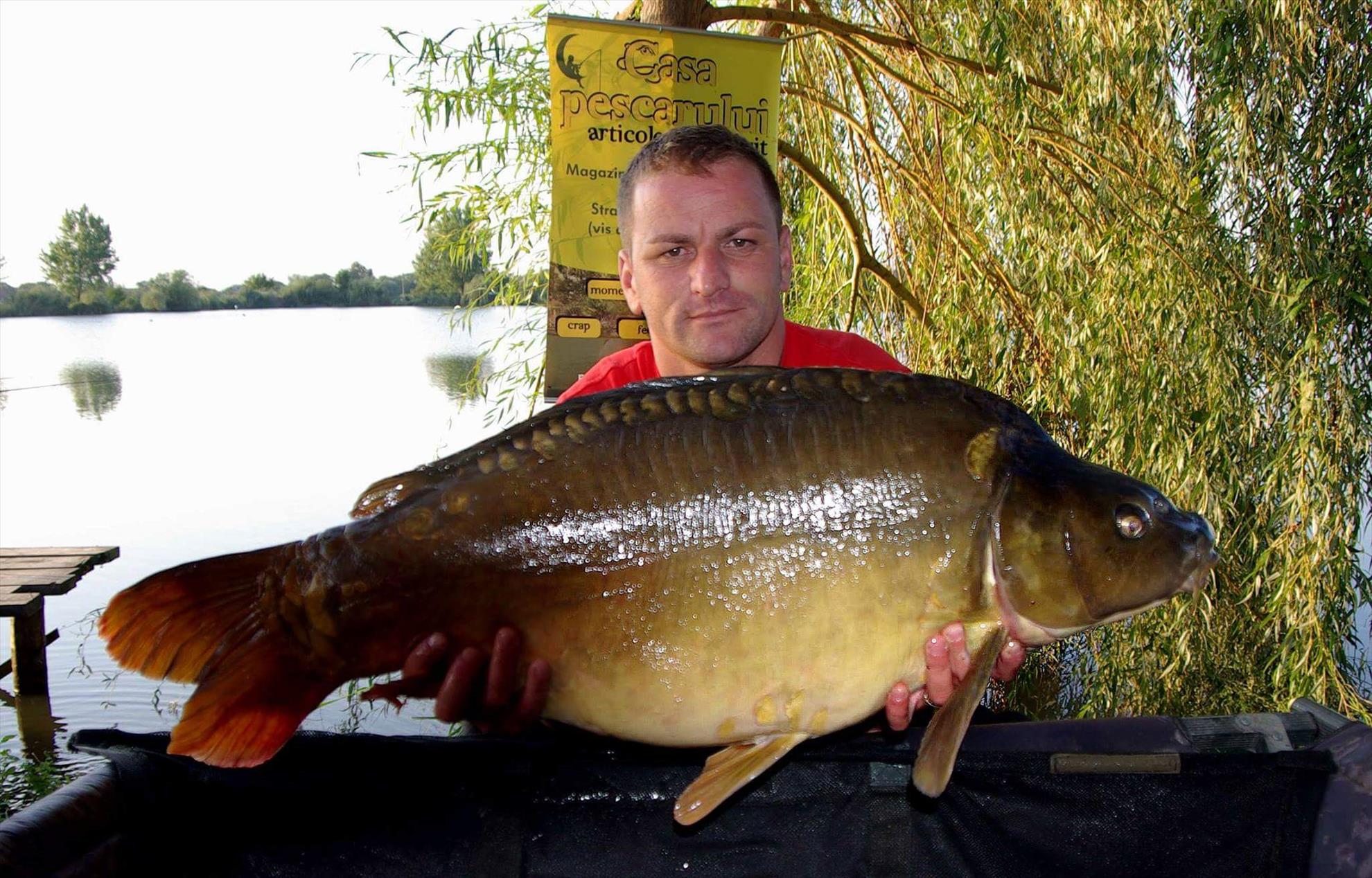 Mika alas Serbia - received765345723577530.jpeg